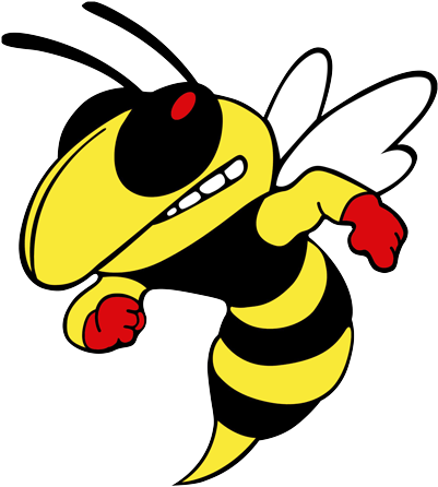 Georgia Institute Of Technology (420x480)