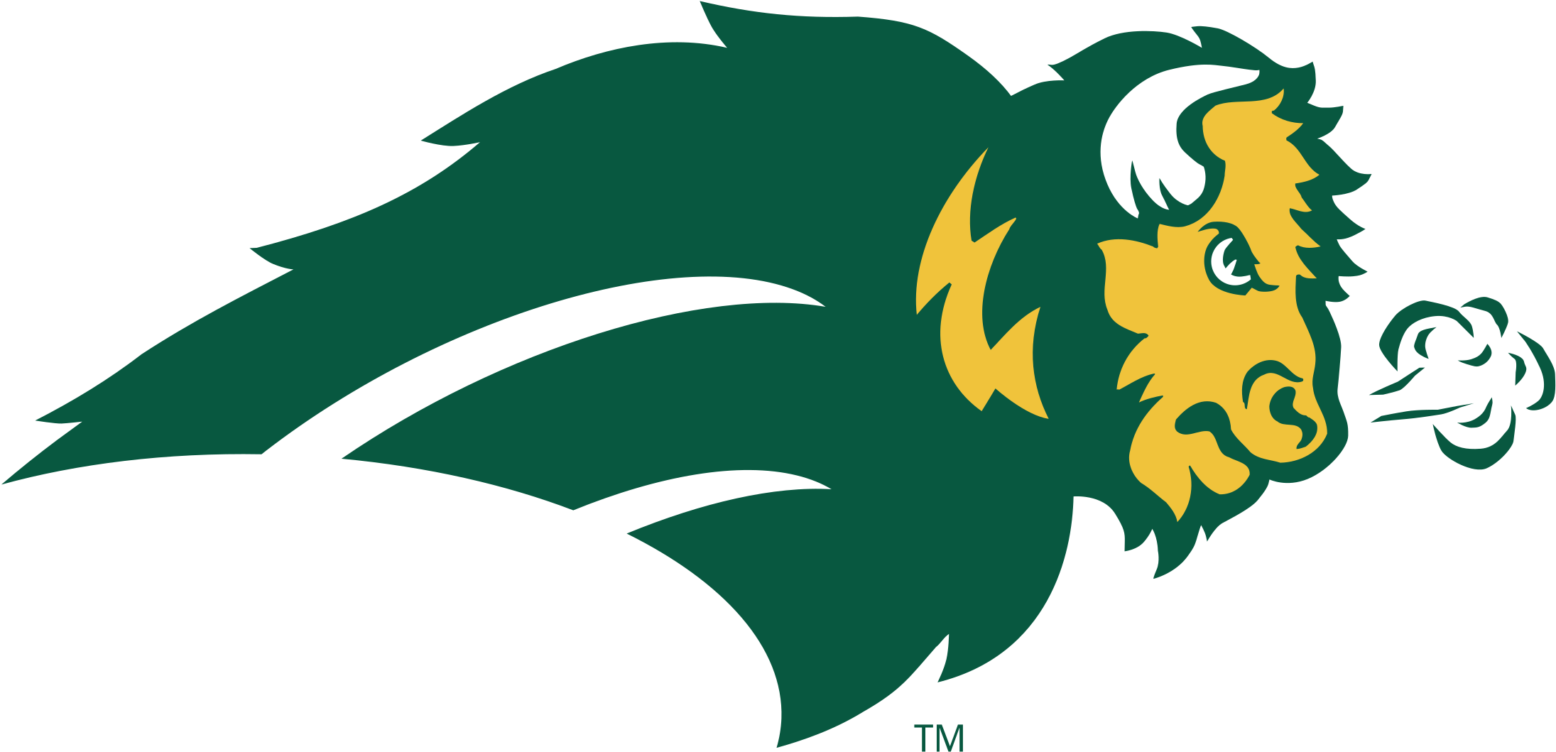 Ndsu Bison Logo - North Dakota State Bison Logo (2400x2400)