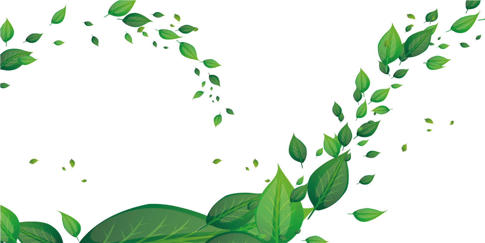 Leaf Green Fundal - Leaf Green Fundal (1702x1000)