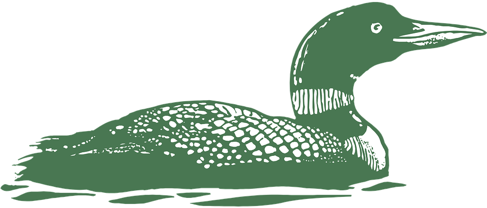 Waterfowl Cliparts 11, Buy Clip Art - (sjt02577) Time Wasted By The Lake Is Not Wasted Time (960x480)