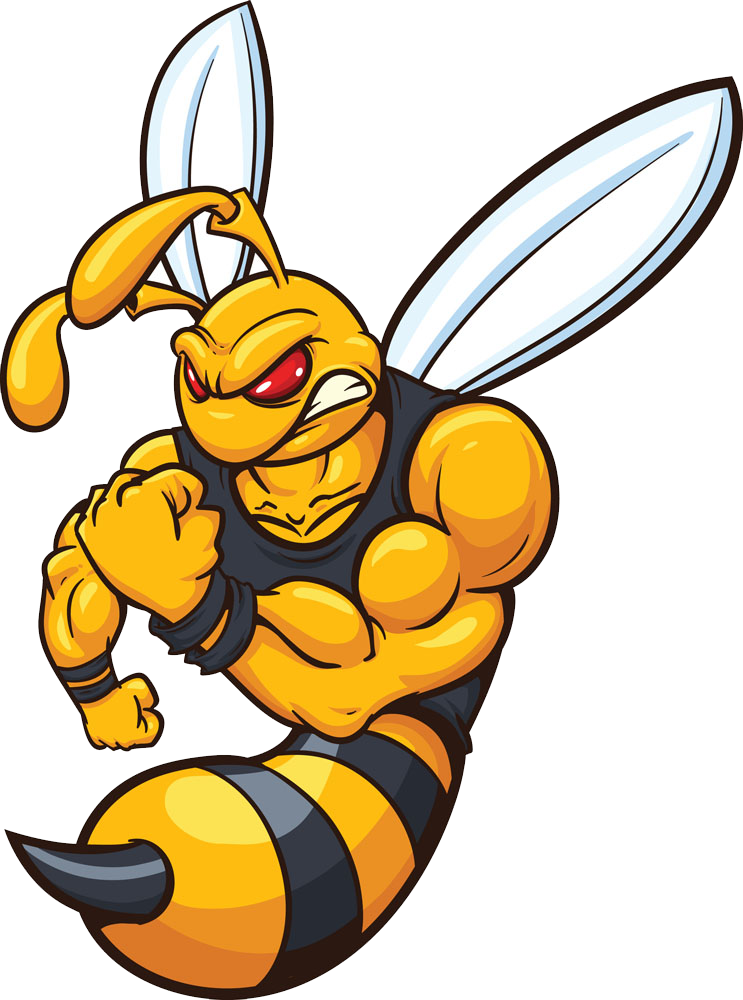 Hornet Bee Yellowjacket Cartoon - Bee Mascot (743x1000)