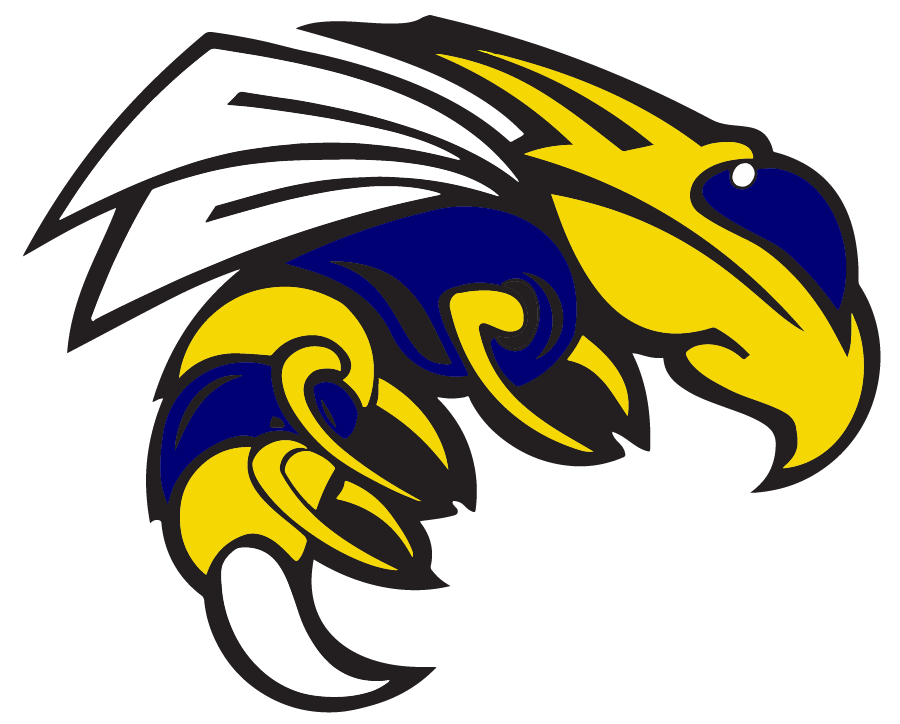 2017 Sheridan Yellow Jackets Matchup - Sheridan High School Yellowjackets (900x724)