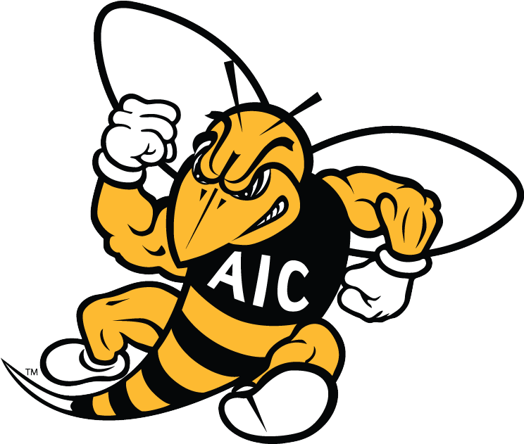 American International College Women - American International Yellow Jackets (743x743)