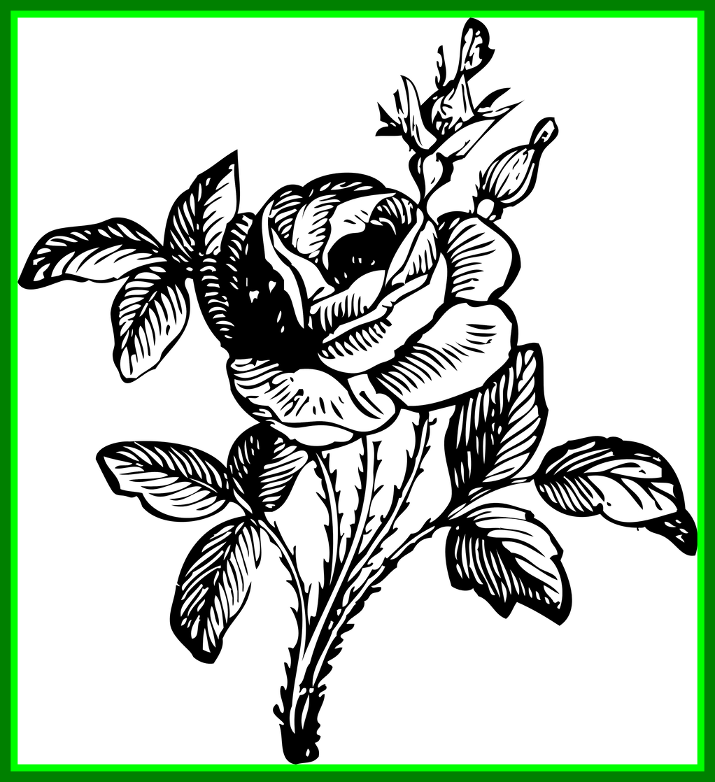 Flower Drawing Flower Drawing Clipart Stunning Of In - Flowers Bouquet Blac...