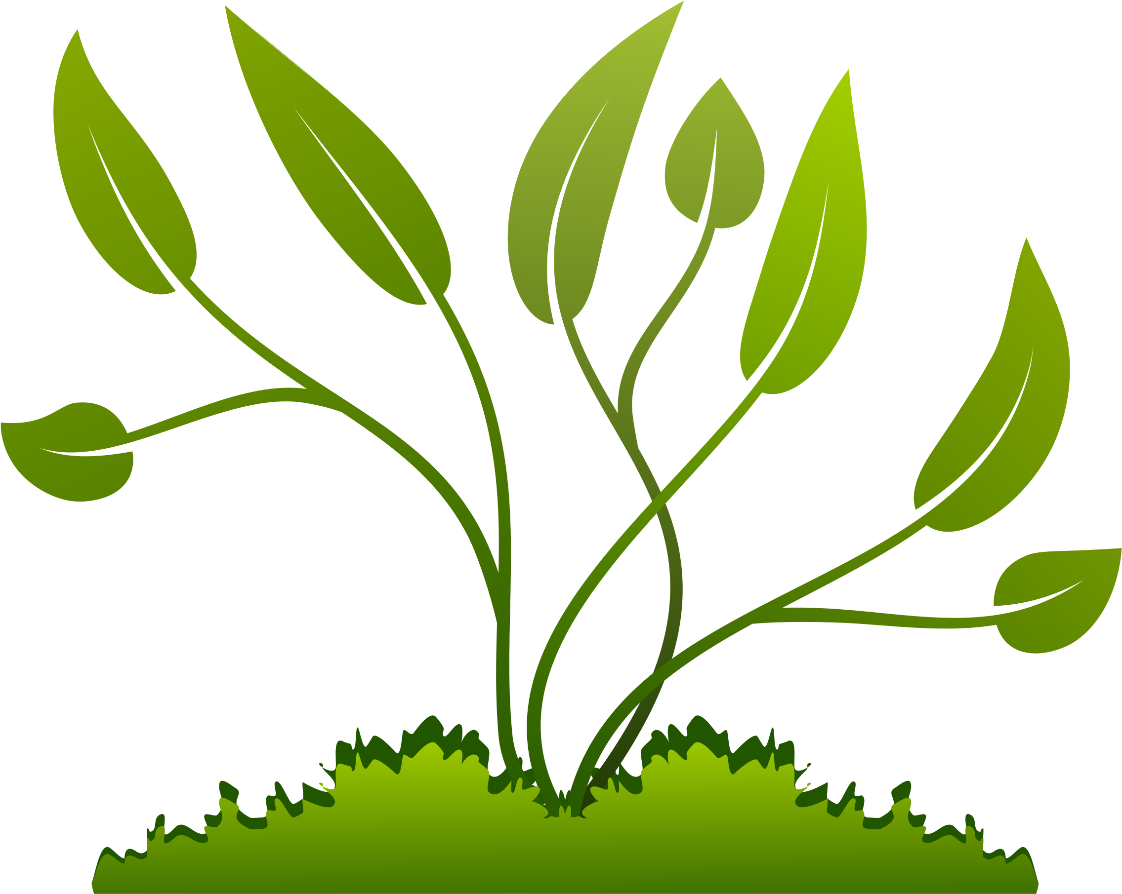 Leaf Growing Cliparts - Plants Clipart (2400x2400)