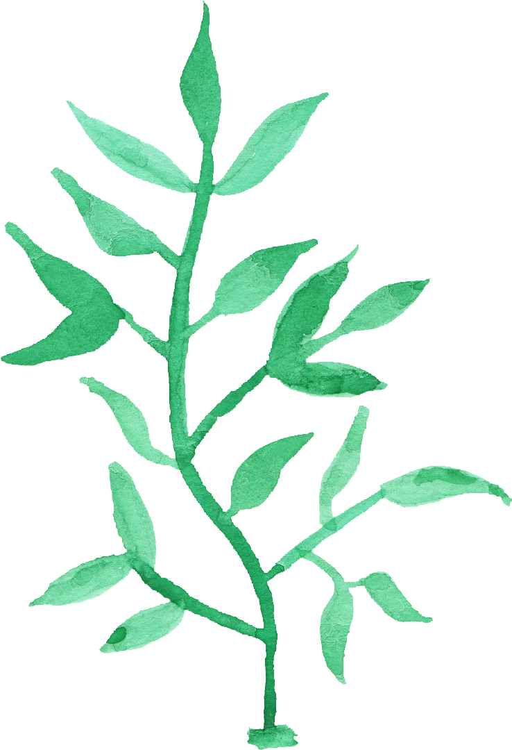 Free Download - Watercolor Painting (738x1080)