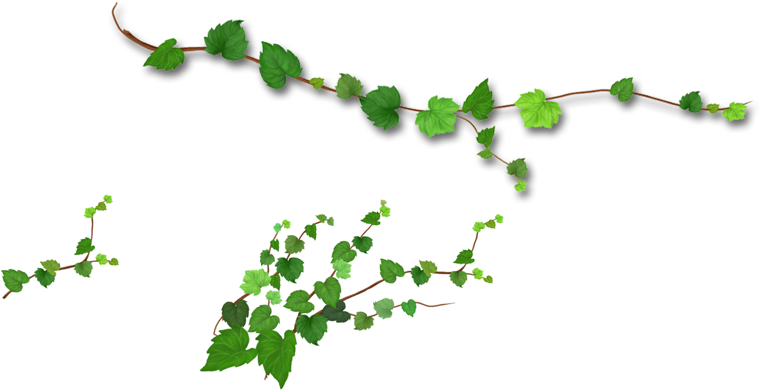 Branch Leaf Tree - Leaf Vine Png (1657x858)
