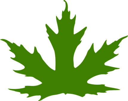 Leaf, Maple Leaf, Maple, Nature, Green - Maple Leaf Clip Art (429x340)