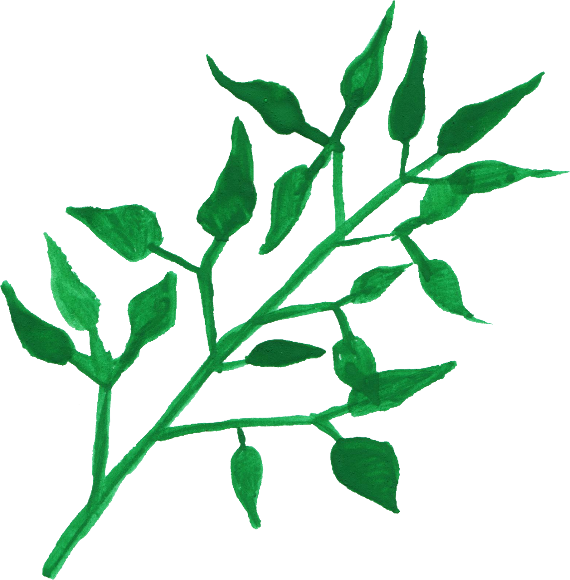 Free Download - Twig (1142x1161)