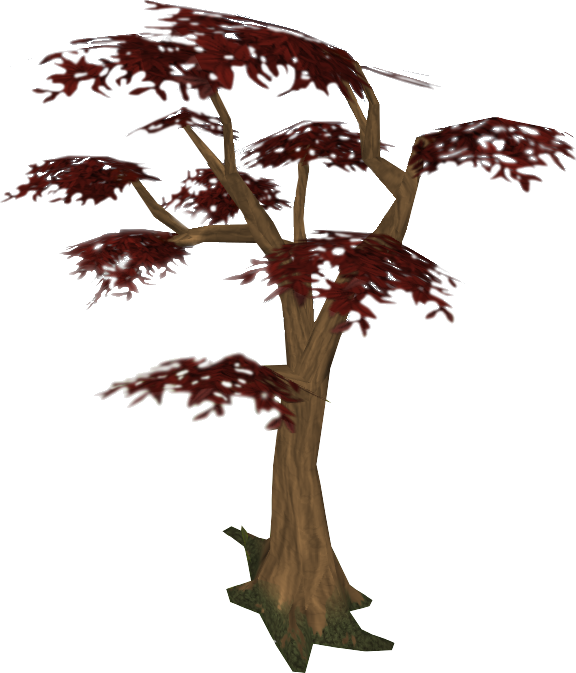 Red Tree - Pond Pine (576x673)