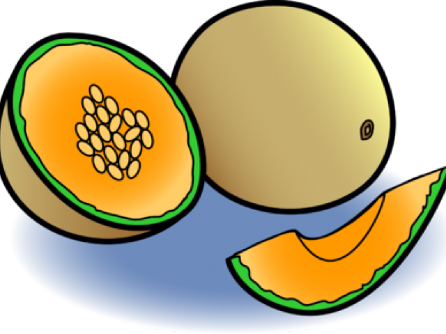 Melon Clipart Clip Art - Cantaloupe Clip Art (640x480)