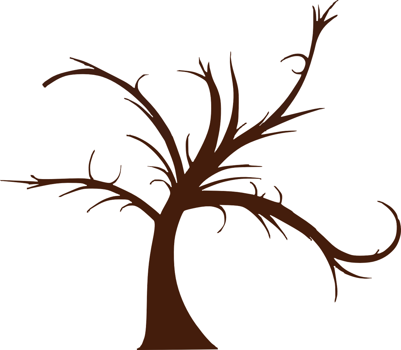 Tree Art Blank Swirled Nature Png Image - Immagini Albero Della Vita Stilizzato (1280x1118)