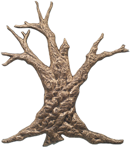 T1, T2, T3, T8, T9, T10 - Lodgepole Pine (426x480)