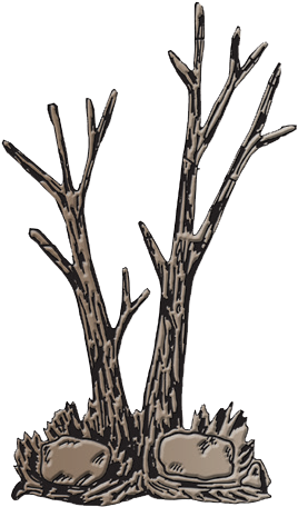 T5, T11, T12 - Weight (290x480)