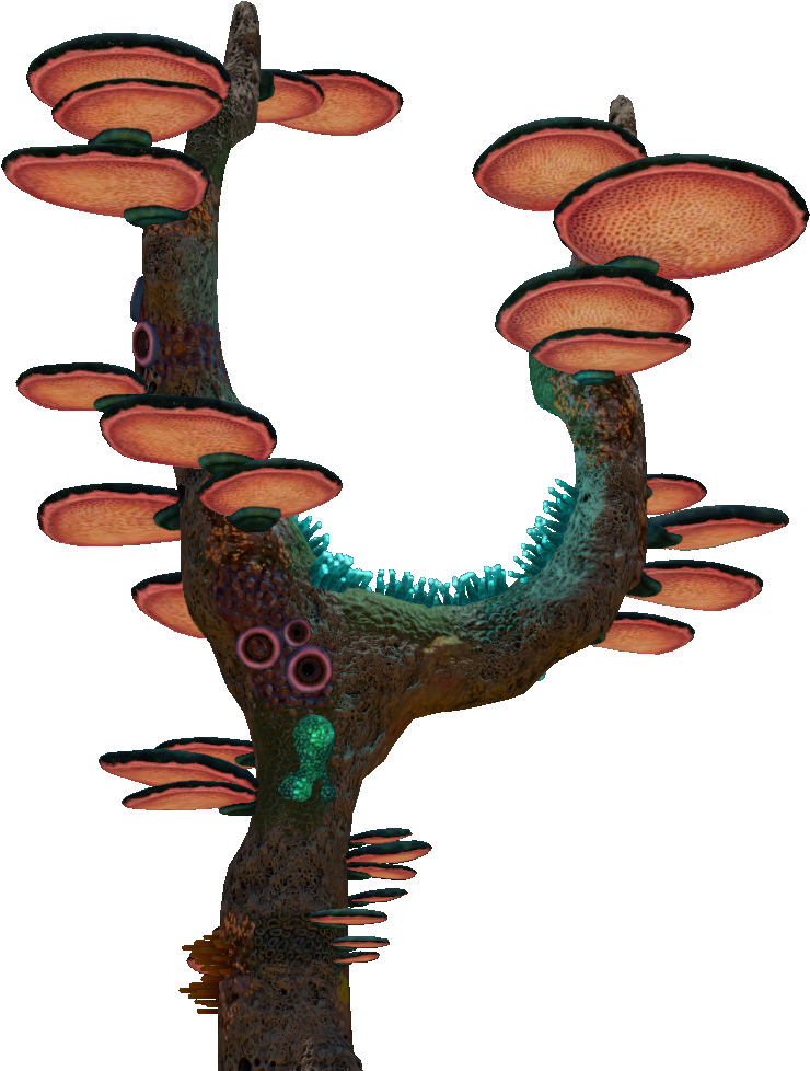 Tree Mushroom - Coral Tree Cafe (900x1080)