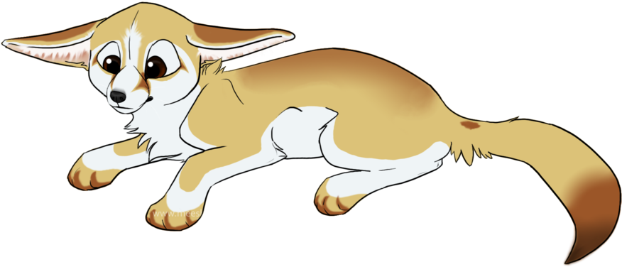 Fennec Fox Png Picture - Fennec Fox (900x391)