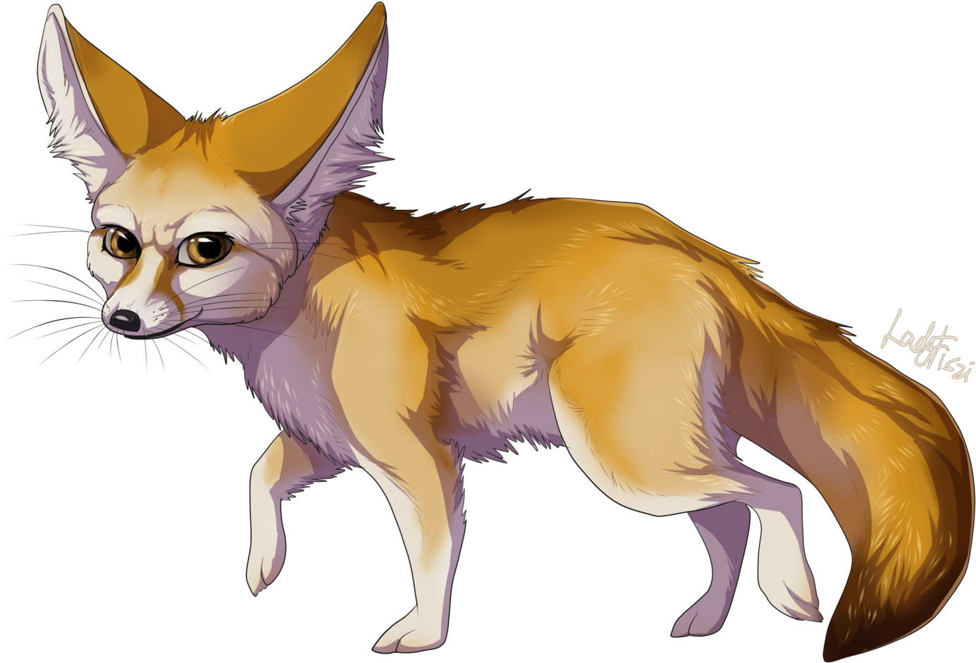 Fennec Fox Png Transparent Image - Fennec Fox Clipart (1600x1067)