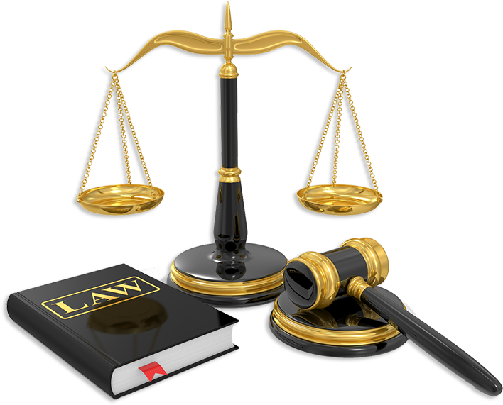 Tauranga Lawyers - Rough Justice - A True Story [book] (800x600)