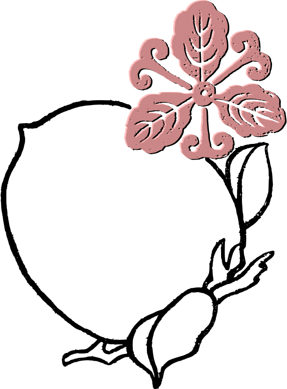 Peach Flower Frame Clip Art - Clip Art (592x800)