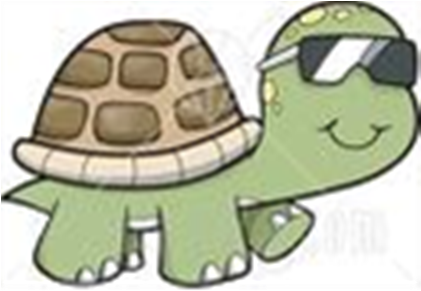 A Turtle Wearing Sunglasses - Cartoon Turtle With Glasses (420x420)
