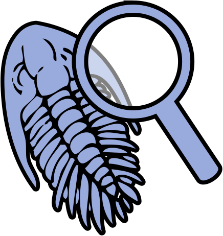 Trilobite Under Magnifying Glass Icon - Fossils Clipart (436x462)