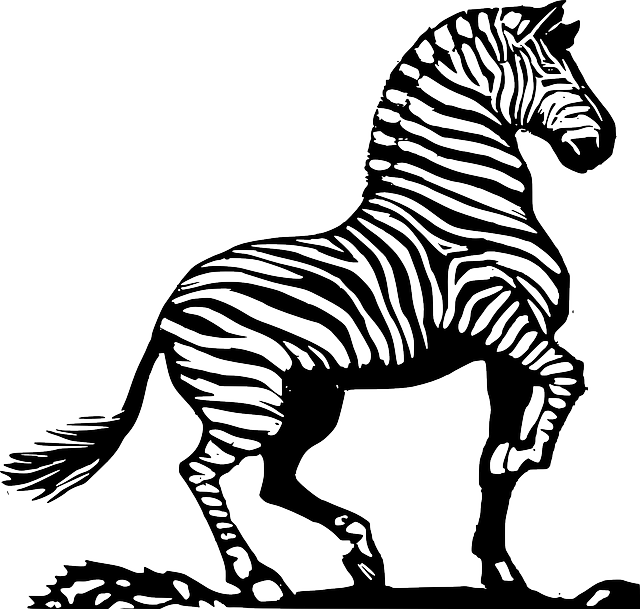 Sketch, Silhouette, Face, Cartoon, Cute, Wood, Zebra - Zebra Black And White (640x609)