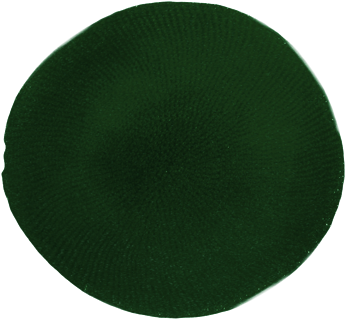 Custom Text For Your Label - Placemat (405x375)