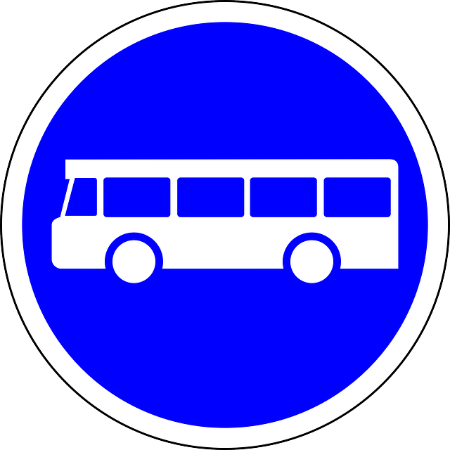 Bus Lane, Bus, Sign, Road Sign, Traffic Sign, Traffic - Bus Road Sign (640x640)