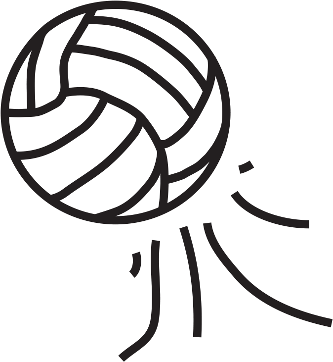 The Telegraph - Volleyball Heartbeat (695x748)
