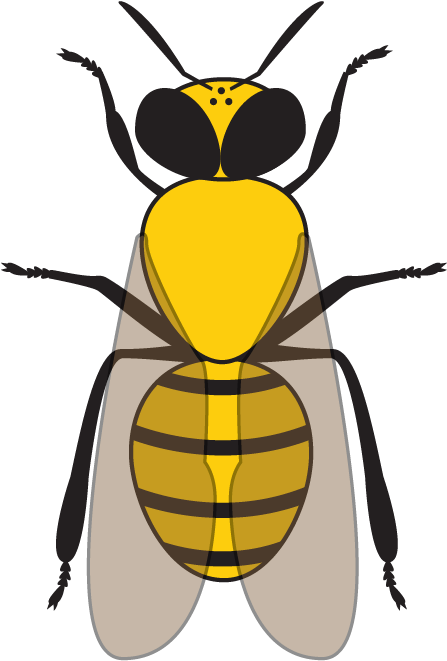 Work Bee - Honeybee (446x671)