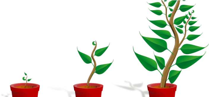 Podcast 236 Inspiration Grows - Getting To Know Plants (725x328)