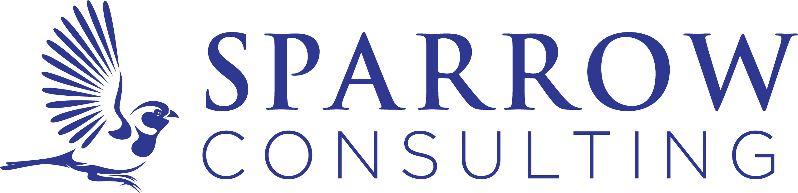 South Africa's Top Educational Consulting Firm - Island Doctor (2604x696)