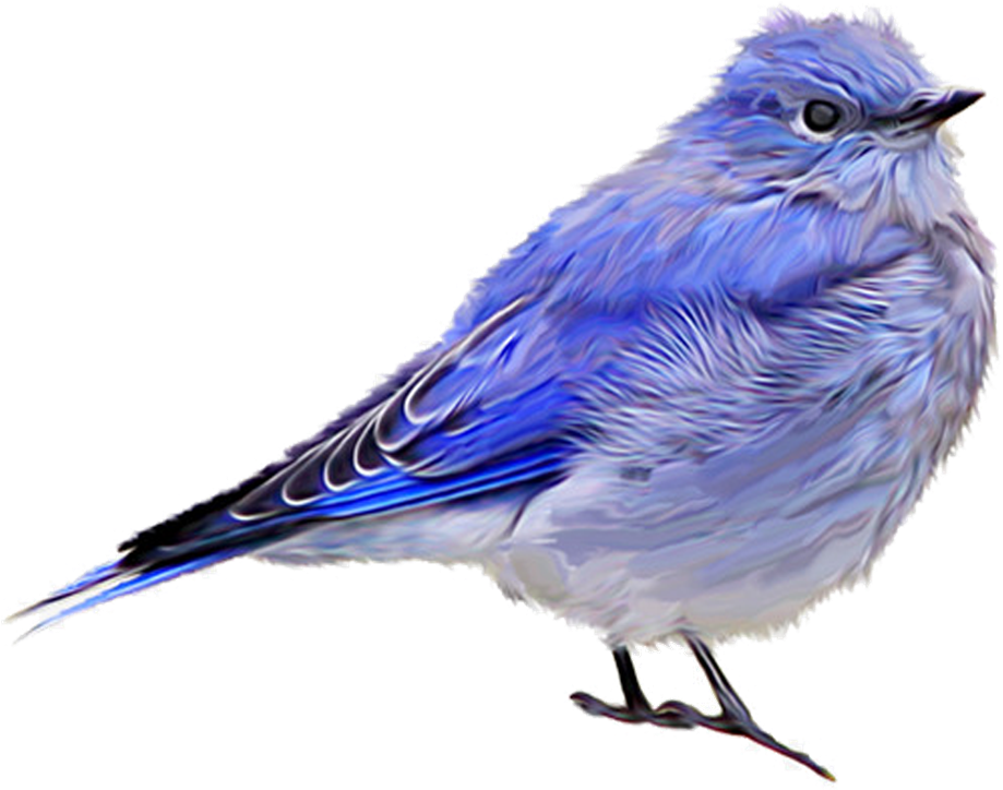 Blue Sparrow Png Download - Beauliful Bird Fly Png (960x768)