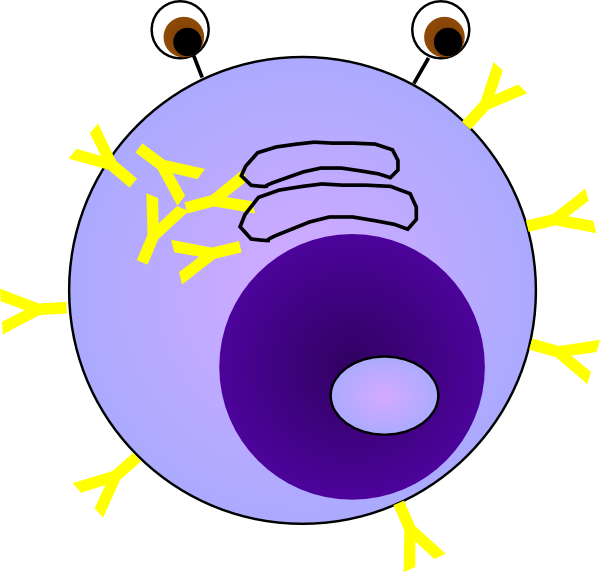 Plasma Clipart Cartoon - Nucleolus Clipart (600x572)