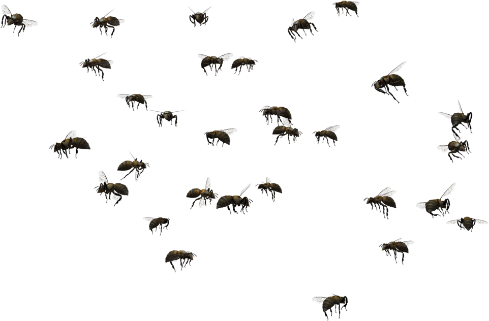Beehive Swarming Clip Art - Beehive Swarming Clip Art (1024x645)