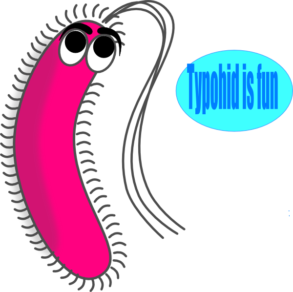 Question Mark Clipart Bacteria - Gram Negative Bacilli Cartoon (600x598)