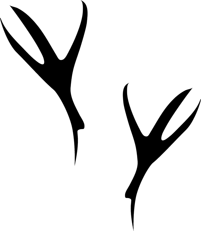 Crow Tracks Rubber Stamp - Rubber Stamp (697x800)