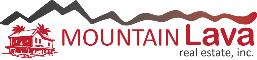 Mointain Lava Real Estate, Inc - Custom Adult Size Bernese Mountain Dog Costume (879x205)