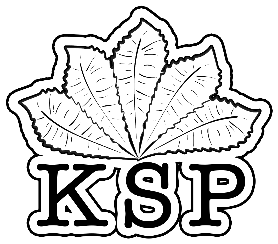 Home - Kevin Scampoli Productions Logo (1152x1152)