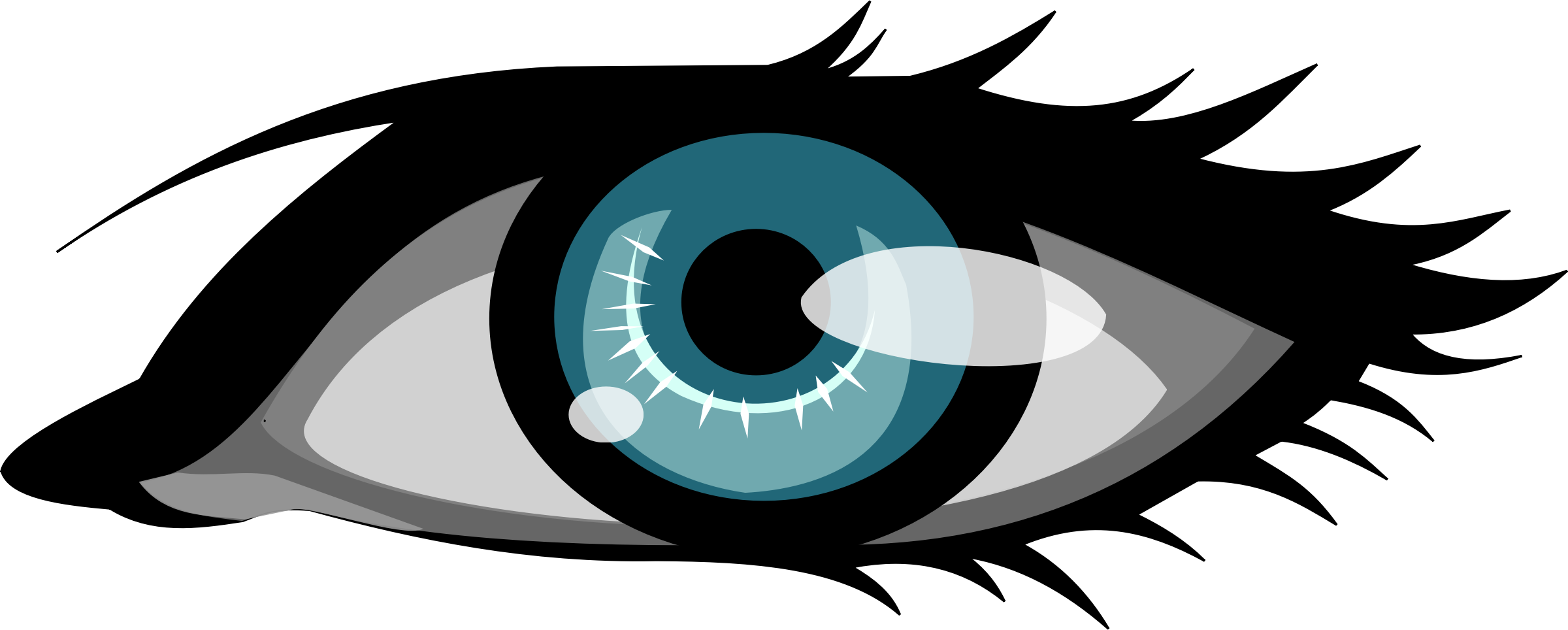 Eye Color Clip Art - Eye Color Clip Art (2400x964)