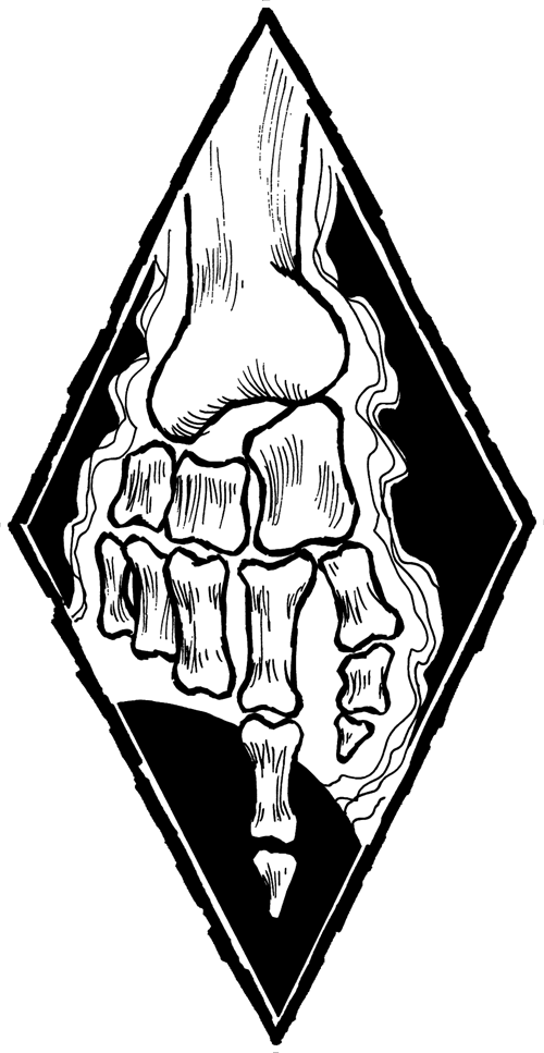 Flux Sigil - Wraith The Oblivion Guild (500x967)
