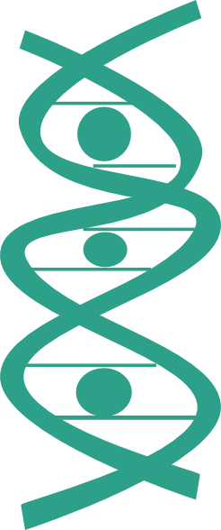 Dna Clip Art At Clker - Clip Art (246x588)