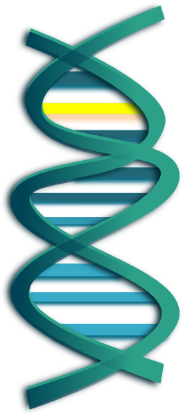 Dna Clip Art (264x600)