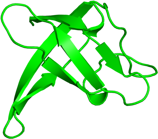 <div Class='caption-body'>1 Copy Of Scop Domain < - Illustration (800x800)