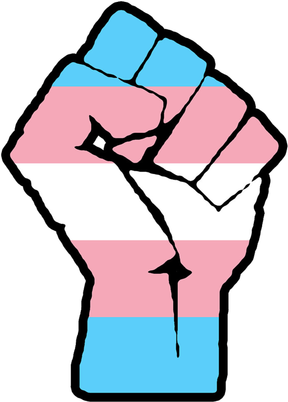 Transgender Flag (853x853)