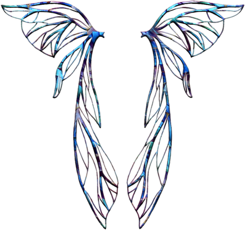 Fairy Wings Template - Fairy Wings Overlay Transparent (807x768)