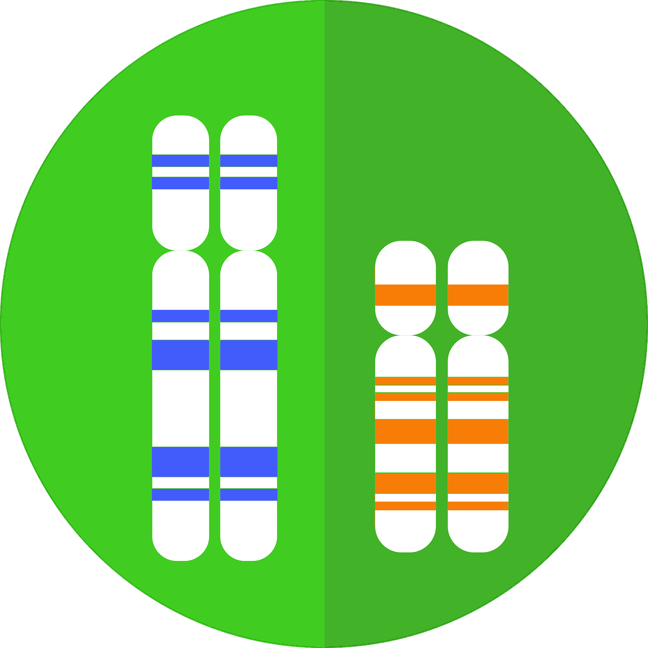 Adapted By Debbie Parker Wayne From Mcmurryjulie, Chromosomes, - Portrait Of A Man (1280x1280)