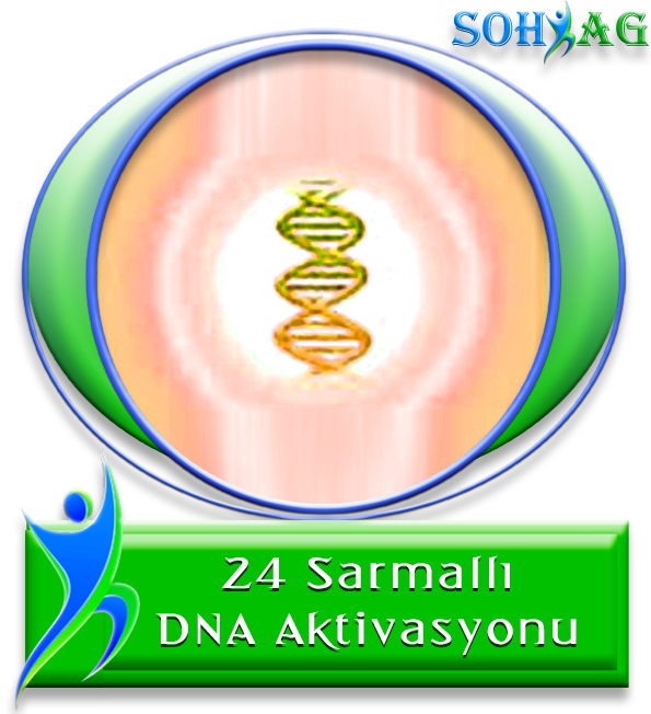 24 Sarmallı Dna Aktivasyonu - Parallel (595x652)