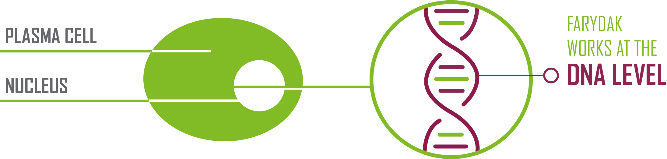 Farydak Works At The Dna Level - Dna (2191x522)