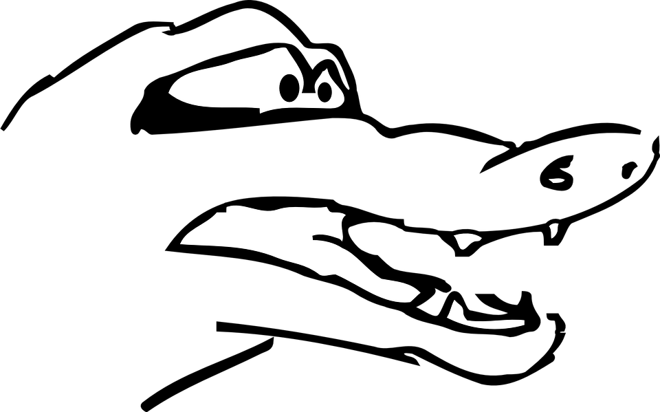 Teeth Clipart Sad Mouth - Sad Alligator Drawing (960x599)